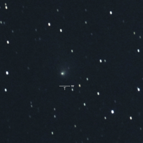 C/2016N6（パンスターズ彗星）