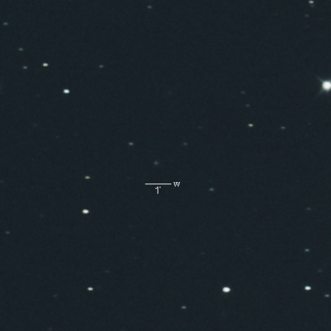 C/2017T2（パンスターズ彗星）