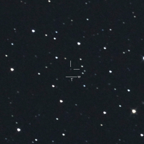 小惑星37117（ナルキッスス）