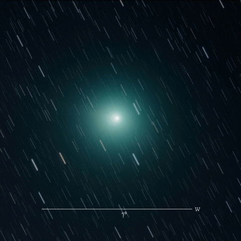 46P（ウィルタネン彗星）