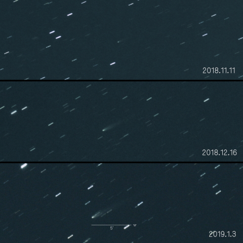 60P（紫金山彗星）の変化