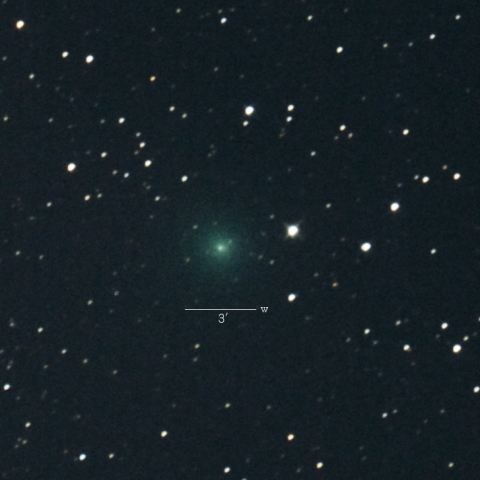 C/2018Y1（岩本彗星）