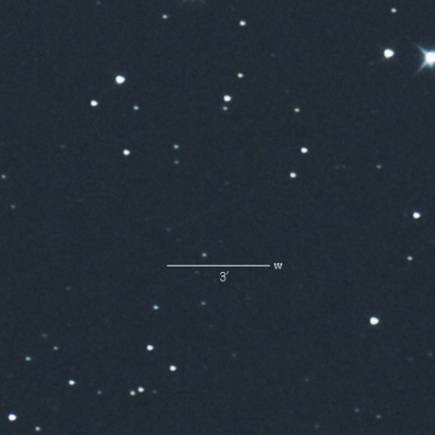 小惑星ゴールトの尾