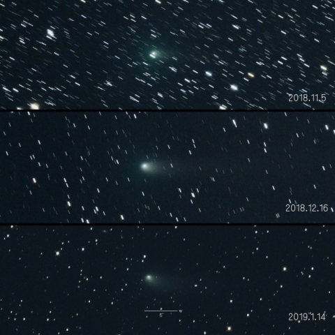 38P（ステファン・オテルマ彗星）の変化