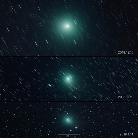 46P（ウィルタネン彗星）の変化