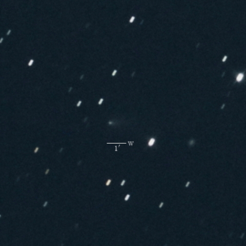 240P（ニート彗星）