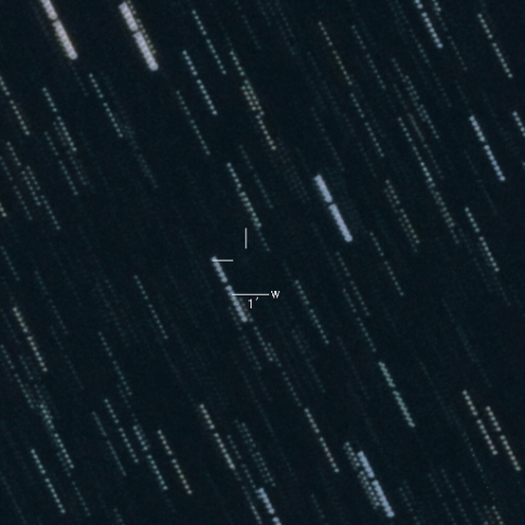 C/2019B1（アフリカーノ彗星）