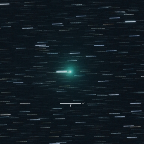 C/2018Y1（岩本彗星）