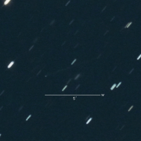 小惑星ゴールト