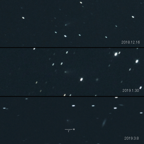 240P（ニート彗星）の変化