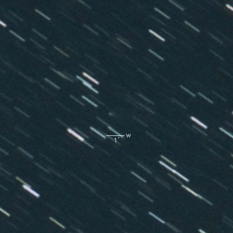 C/2019D1(Flewelling彗星)
