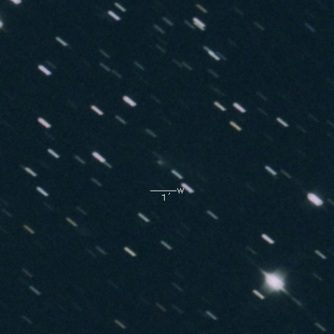 C/2019 D1 (Flewelling)