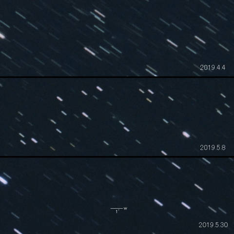 C/2019 D1 ( Flewelling )の変化