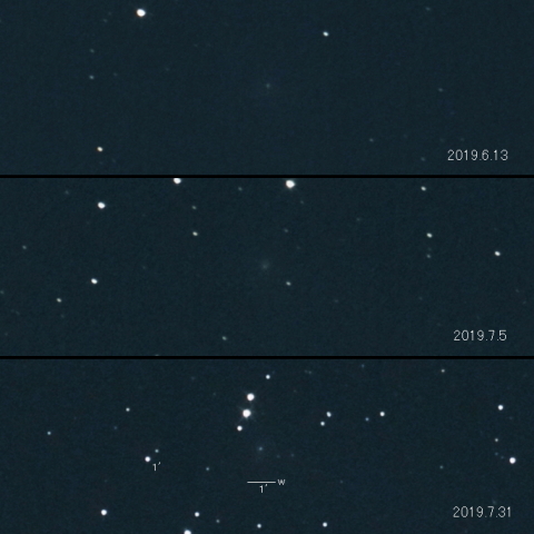 29P（Schwassmann-Wachmann）の変化