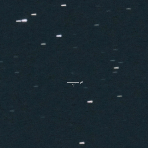 C/2019 K5（Young）