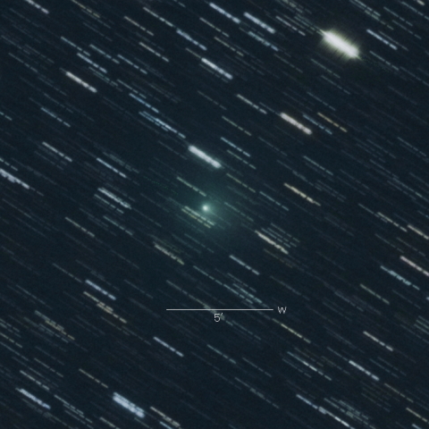 C/2018 Ｗ2（Africano）