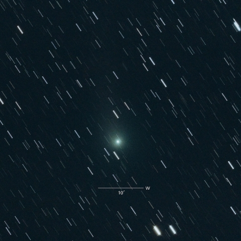 C/2018 Ｗ2（Africano）