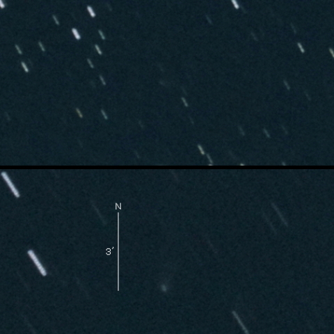 C/2019 K4（Ye）の変化