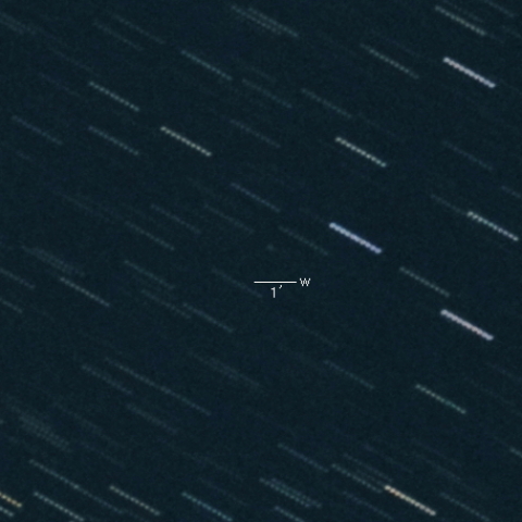 384P(Kowalski)