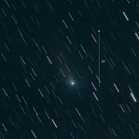 C/2018 W2（Africano）