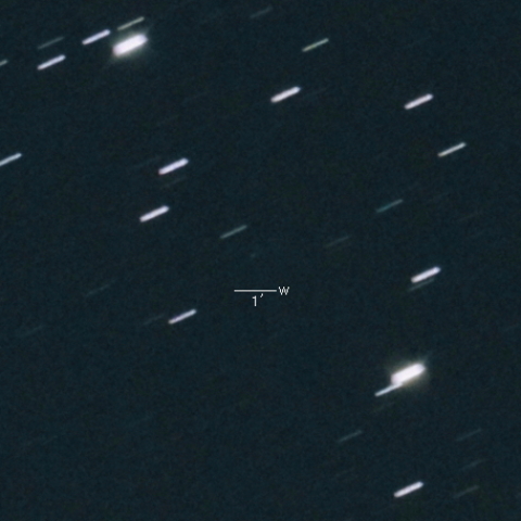 P/2019 R1（Boattini）