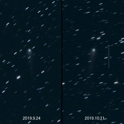 C/2018 N2（ASASSN）の変化