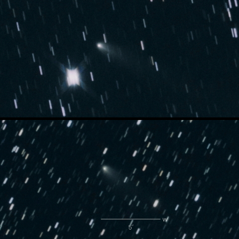 260P（McNaught）の変化