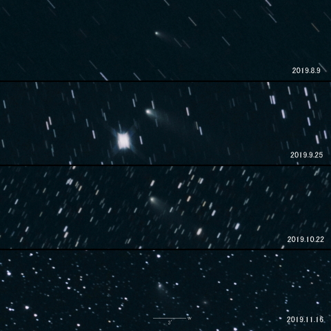 260P（McNaught）の変化