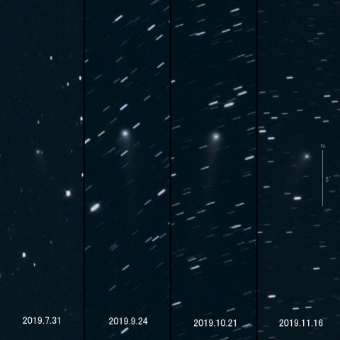 C/2018 N2（ASASSN）の変化