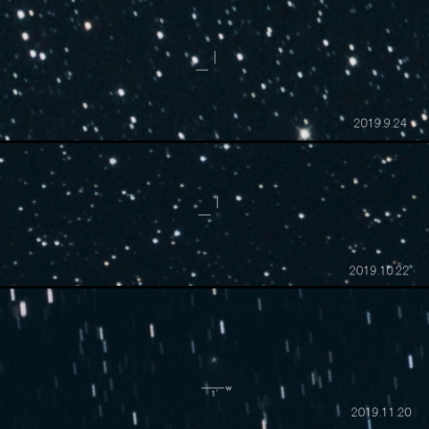 114P(Wiseman-Skiff)の変化