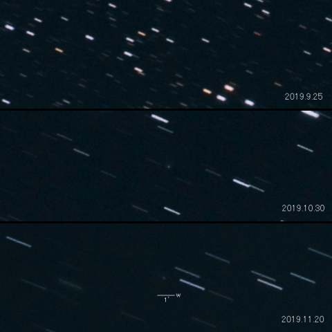 C/2018 DO4(Lemmon)の変化