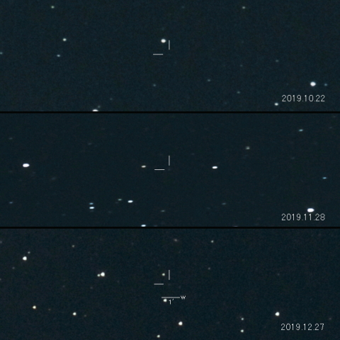 173P（Mueller）の変化