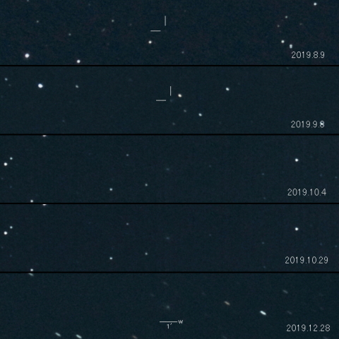 101P(Chernykh)の変化