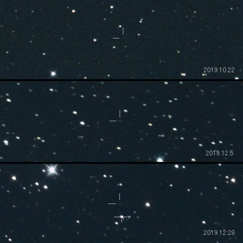 203P（Korlevic）の変化