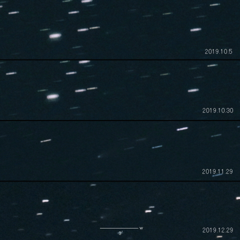 155P（Shoemaker）の変化