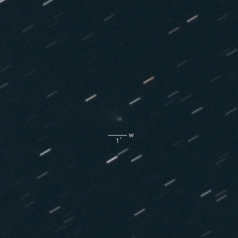 114P(Wiseman-Skiff)