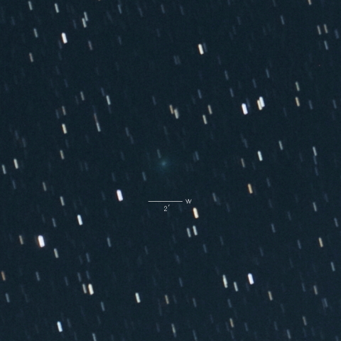 C/2020 A2（Iwamoto）