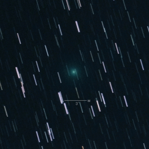 C/2020 A2 (Iwamoto)