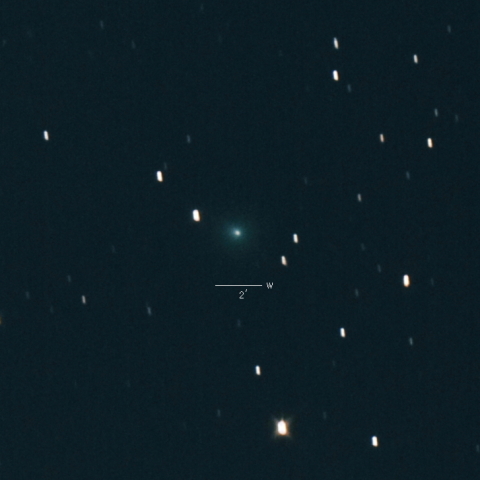 C/2019 Y1 (ATLAS)