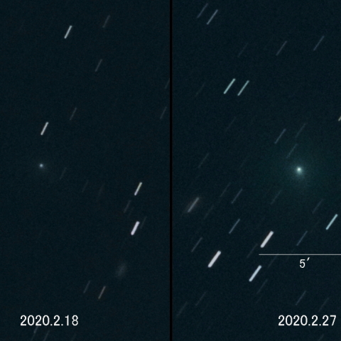 C/2019 Y4 (ATLAS)の増光