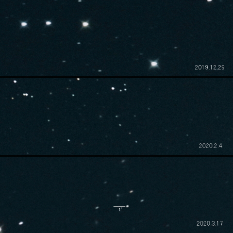 246P (NEAT)の変化