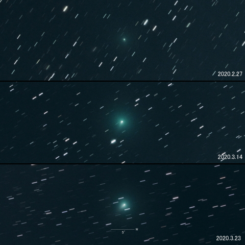 C/2019 Y4 (ATLAS)の変化