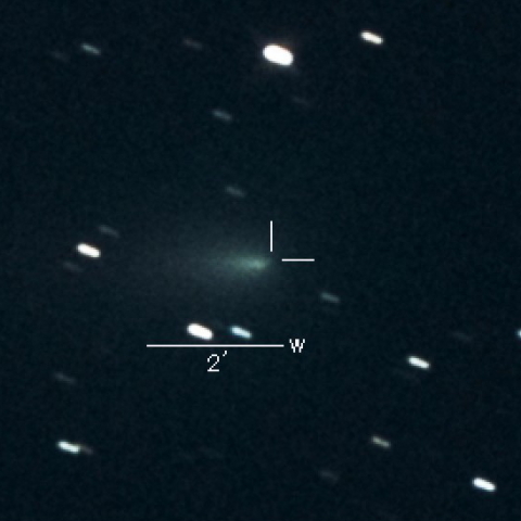 C/2019 Y4 (ATLAS)の分裂核