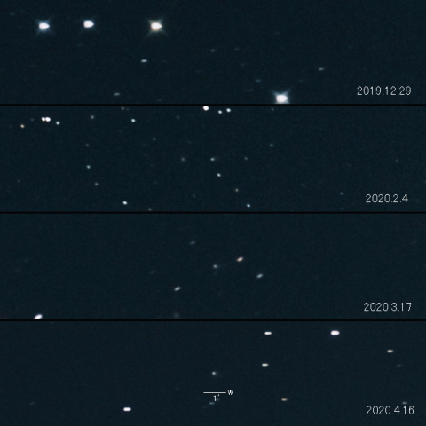 246P (NEAT)の変化