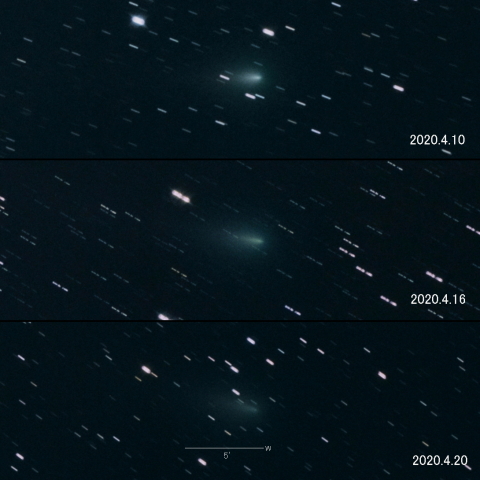 C/2019 Y4 (ATLAS)の変化