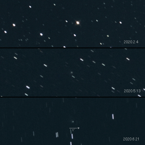 C/2019 N1 (ATLAS)の変化