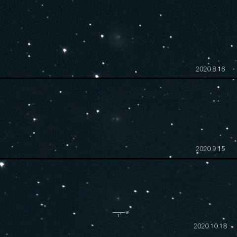 29P (Schwassmann-Wachmann) の変化