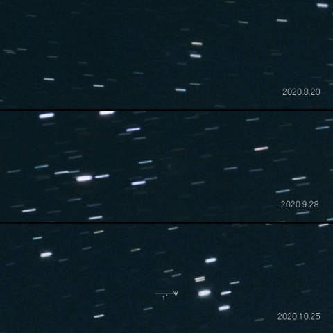 304P (Ory) の変化