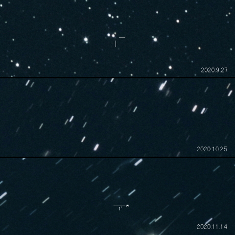 11P (Tempel-Swift-LINEAR) の変化