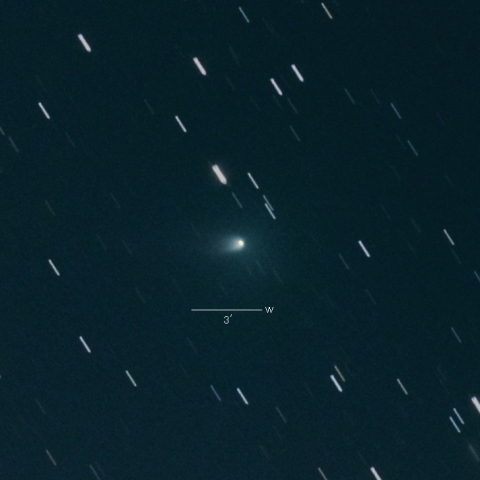 156P (Russell-LINEAR)